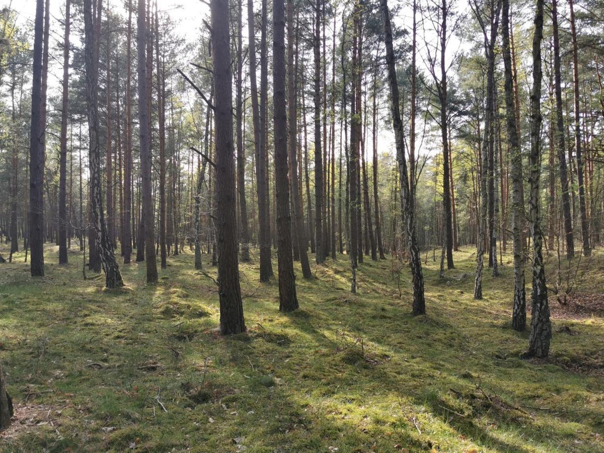 M&k - Morska Bryza Gdańsk